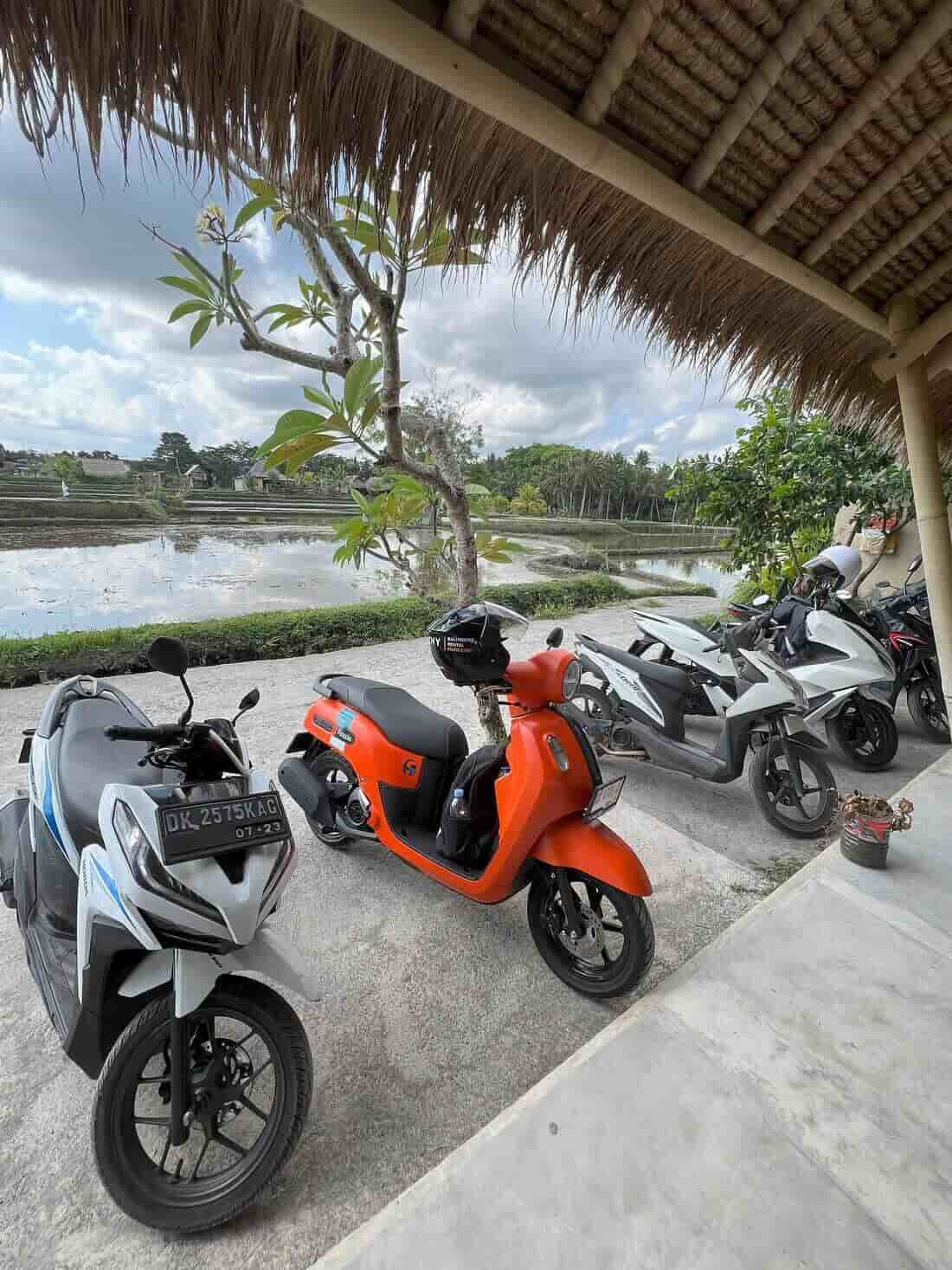 background-cinchy-bali-review-us