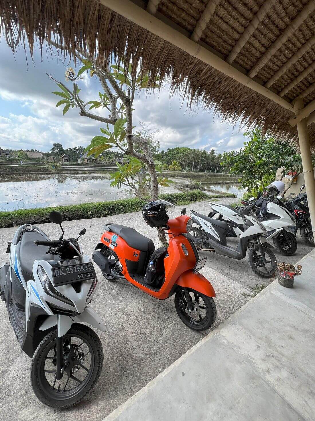 background-cinchy-bali-review-us