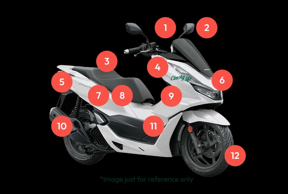 damage-information-cinchy.life-bali