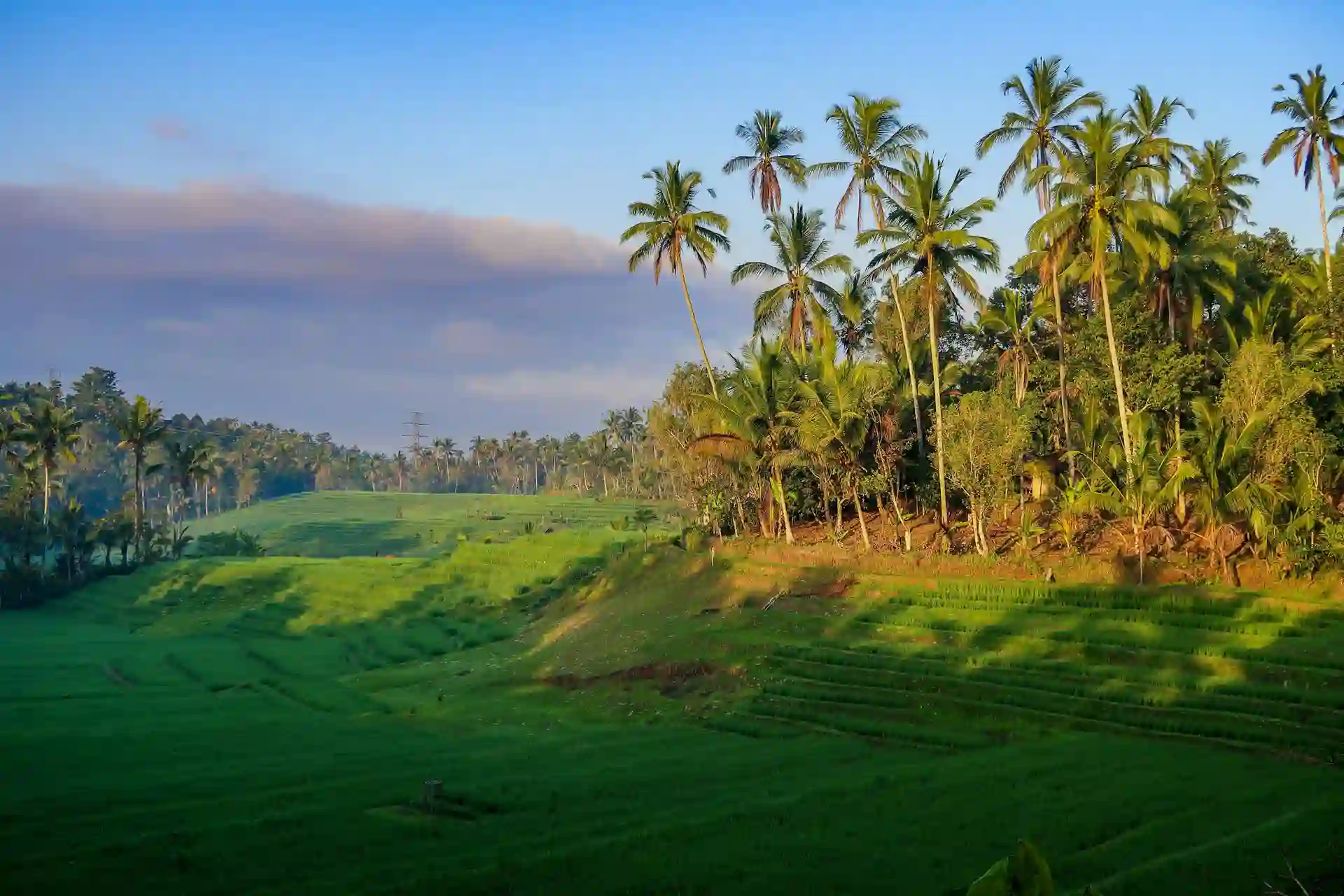 route-options-from-seminyak-to-tabanan route-options-from-seminyak-to-tabanan