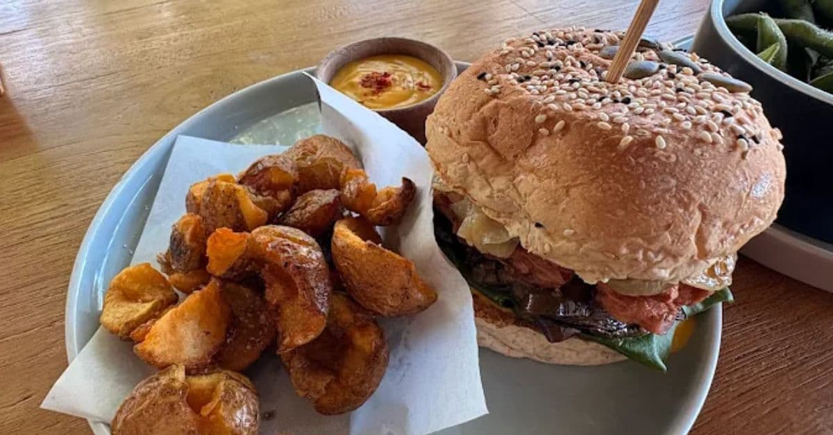 shady-shack shady-shack