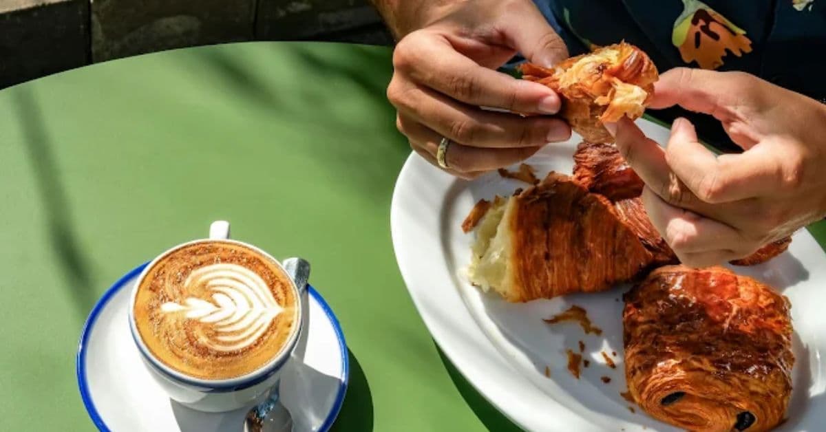 terrace-brasserie terrace-brasserie