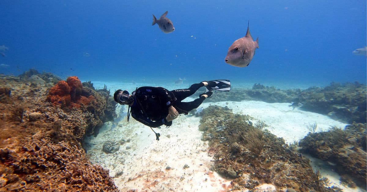 12 Scuba Diving Centers in Sanur