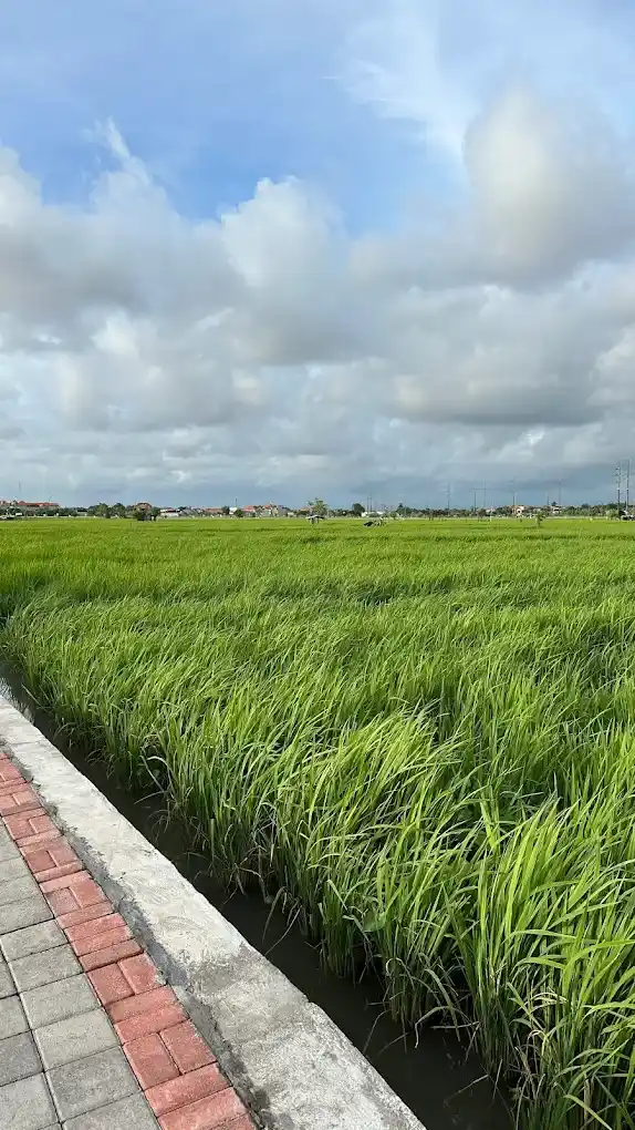 credit:-google-maps---jogging-track-prapat-beris-|-shot-by-immanuel-ambhara credit:-google-maps---jogging-track-prapat-beris-|-shot-by-immanuel-ambhara