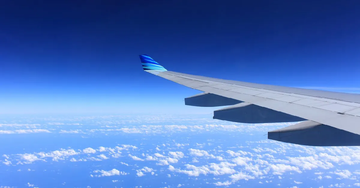 Germany to Bali Flight