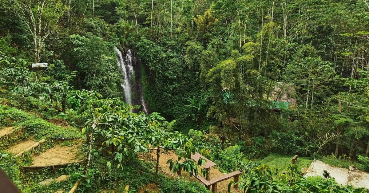 golden-valley-waterfall golden-valley-waterfall