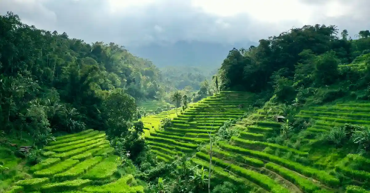 From Seminyak to Tabanan