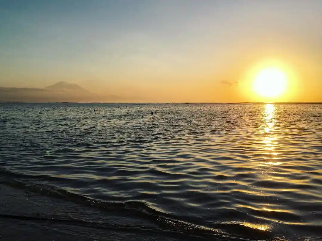 credit:-instagram-@suzydiver credit:-instagram-@suzydiver