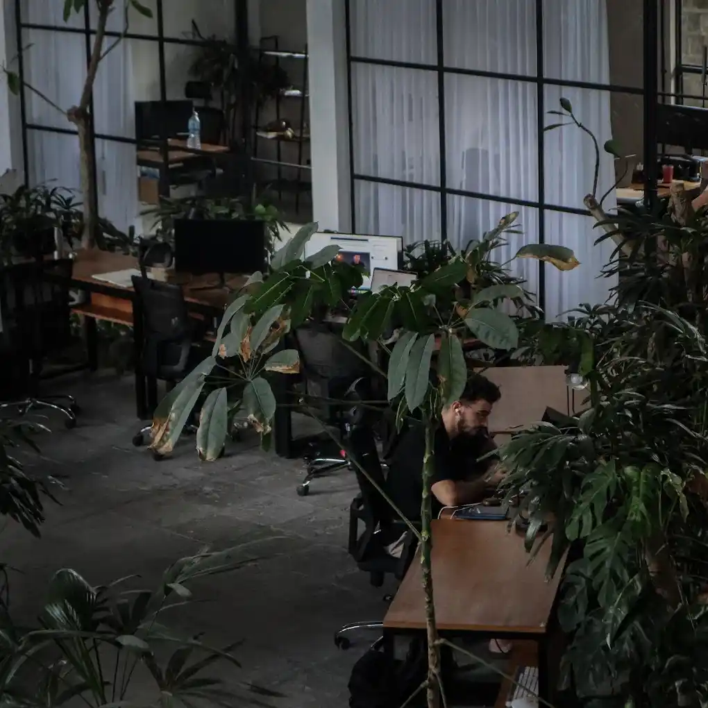 credit:-google-maps---nebula-entrepreneur-coworking-space credit:-google-maps---nebula-entrepreneur-coworking-space