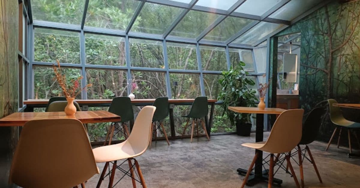 koffietons-mangrove koffietons-mangrove