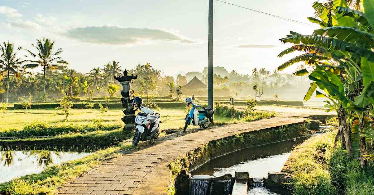 Here Are 7 Best Scooter Rides in Bali with Epic Scenery