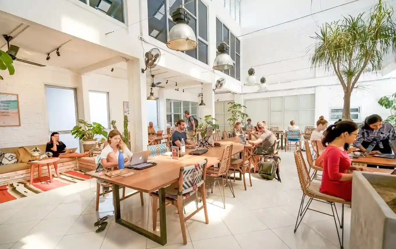 credit:-google-maps---tropical-nomad-coworking-space credit:-google-maps---tropical-nomad-coworking-space