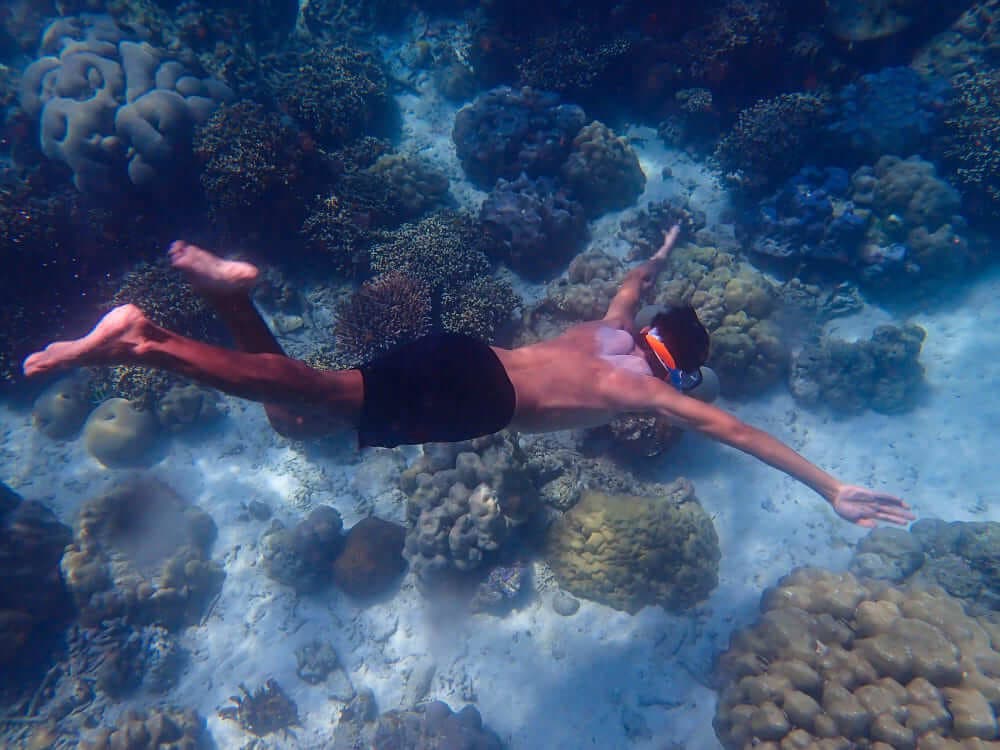 snorkeling-pantai-amed snorkeling-pantai-amed
