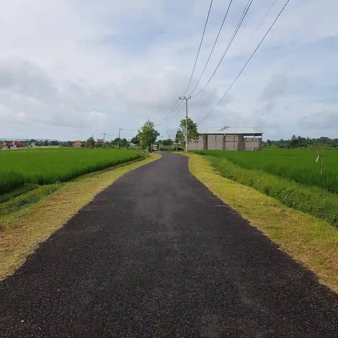 credit:-instagram-@frenciuus credit:-instagram-@frenciuus