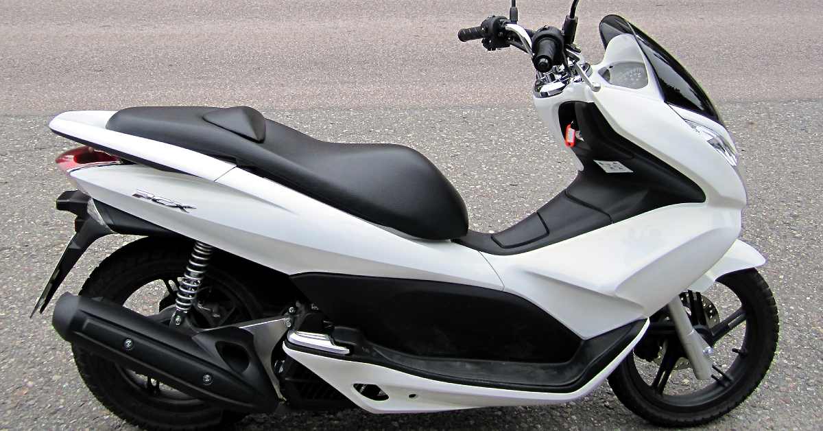 credit:-wikimedia-commons---khaosaming credit:-wikimedia-commons---khaosaming