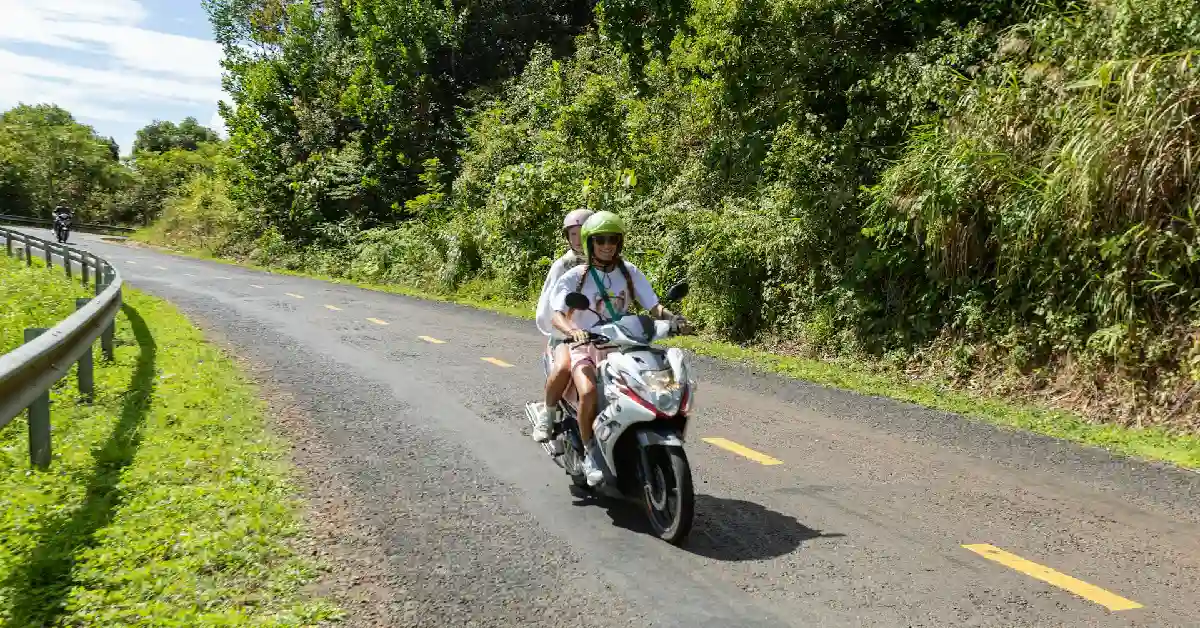 blog image