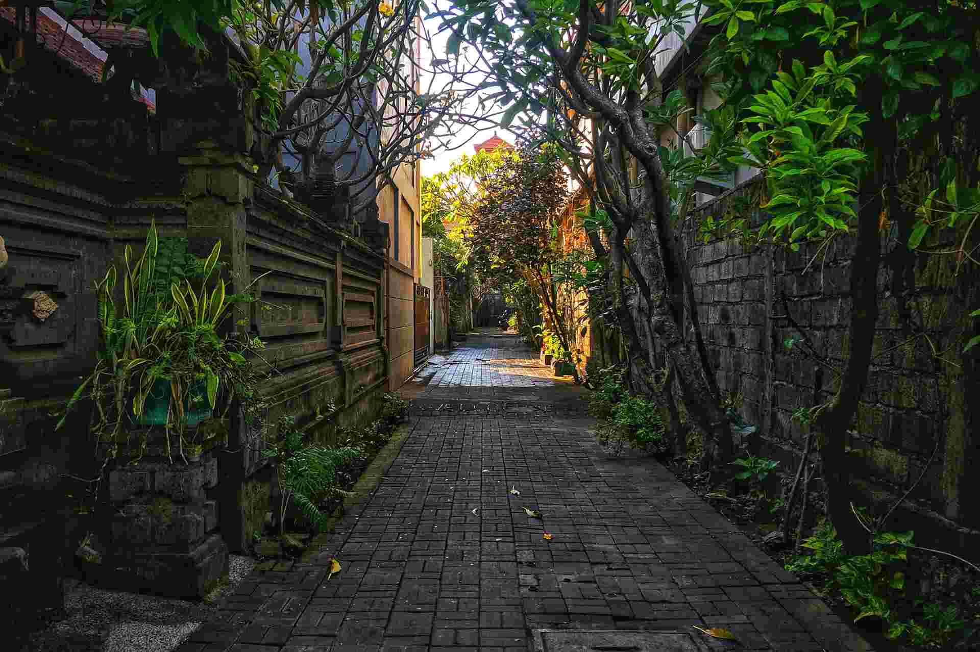 how-to-ride-a-scooter-in-a-small-alley how-to-ride-a-scooter-in-a-small-alley