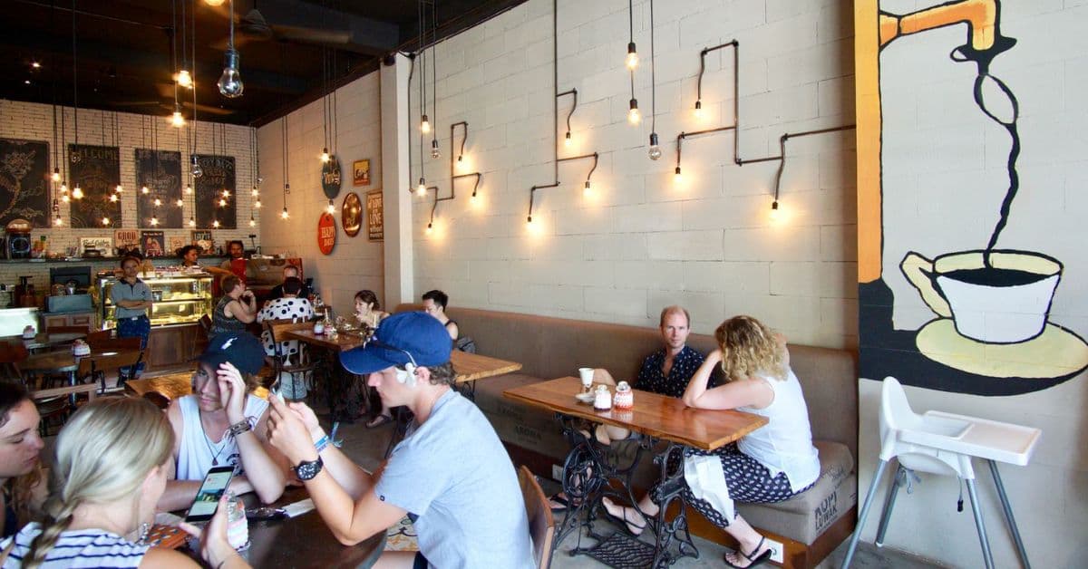 the-fat-turtle the-fat-turtle