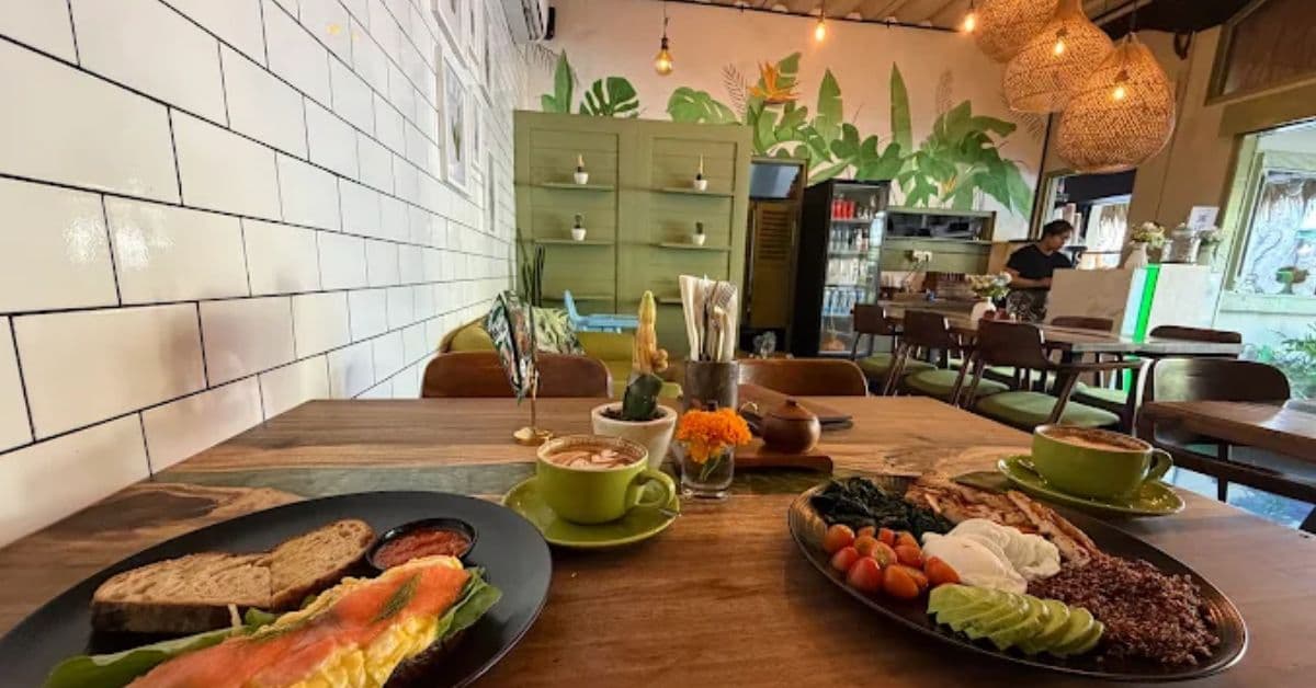 cactus-cafe cactus-cafe