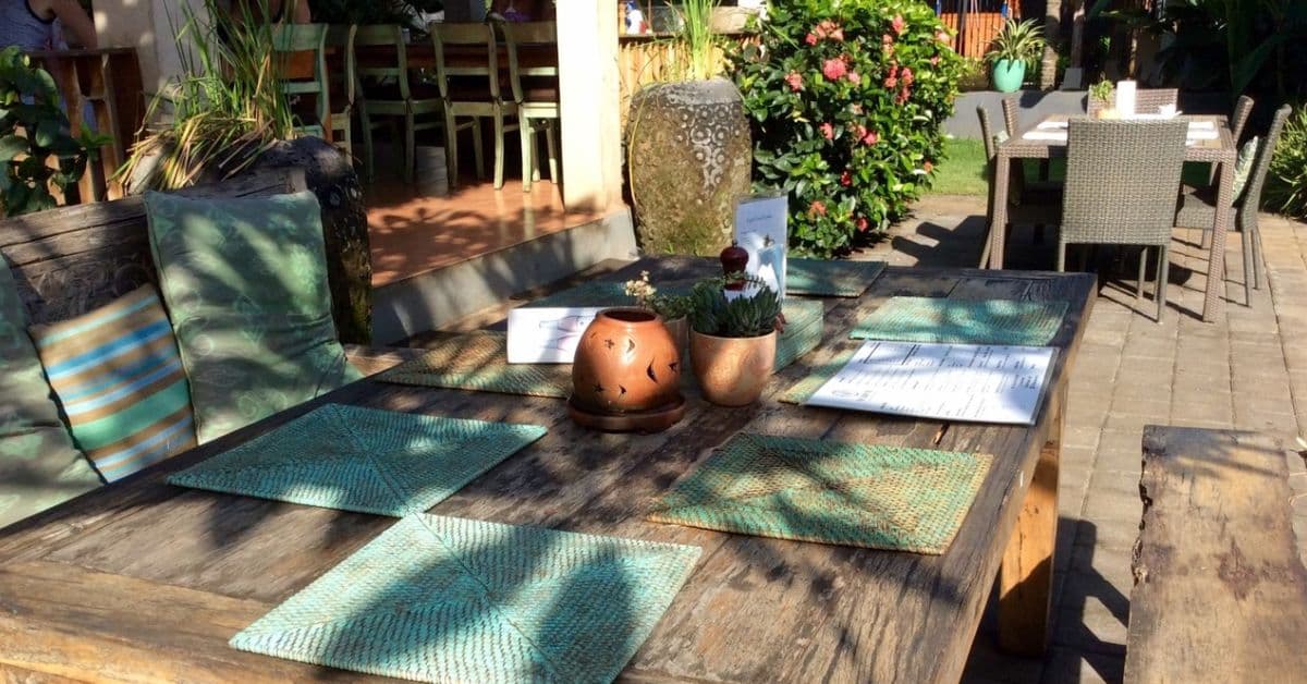 the-cashew-tree the-cashew-tree